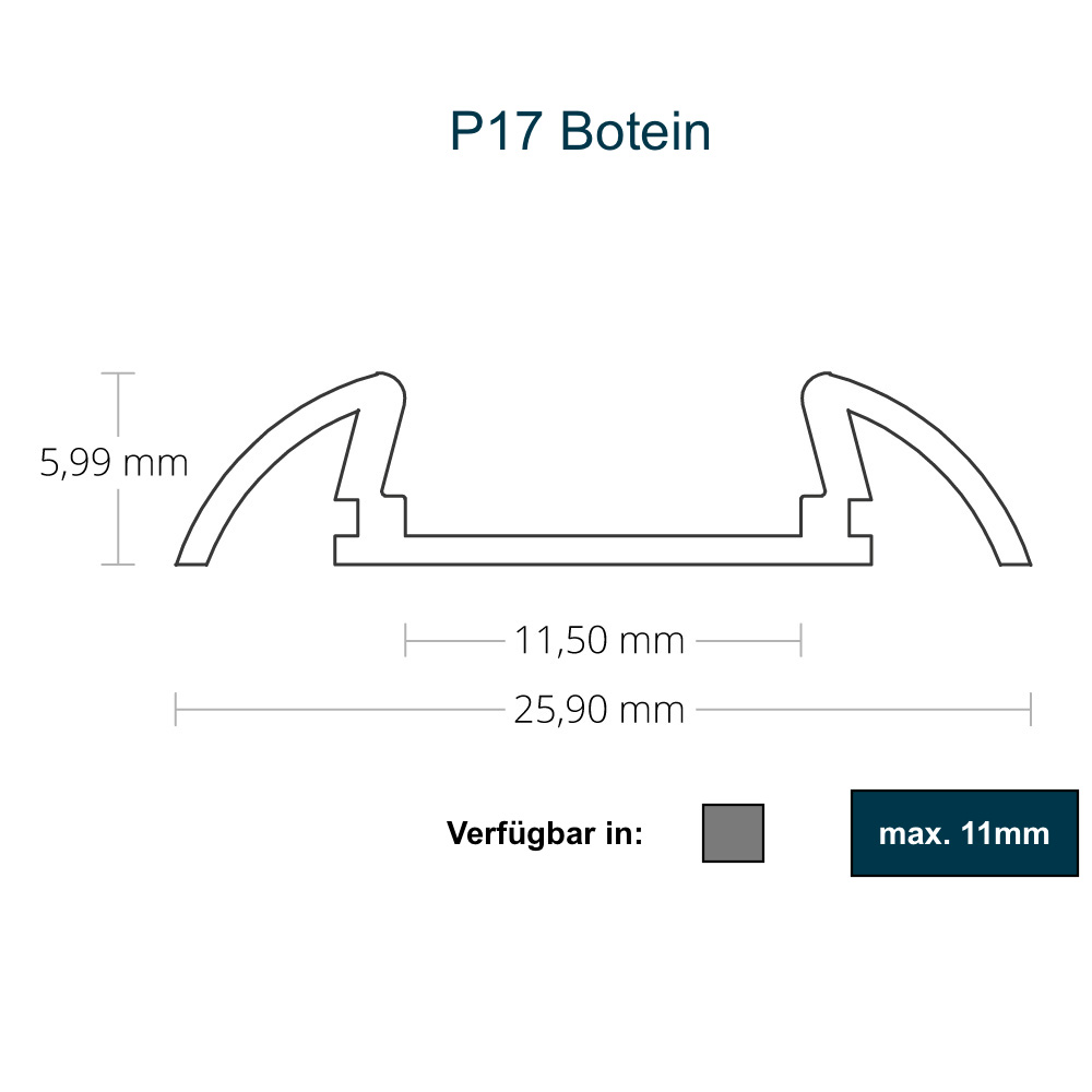 P17 Botein